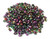 Superduo Beads - Marea Peacock Gold Superduo Beads - Marea Peacock Gold