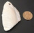 1 Florida Natural Shell Pendant - 37x64mm - 1.4x2.5in - 4mm Hole