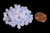 Rose Opal Preciosa 6mm Crystal Bicone Beads Rose Opal Preciosa 6mm Crystal Bicone Beads