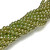 Czech Glass 6mm Pearl Beads - Light Olive Green Czech Glass 6mm Pearl Beads - Light Olive Green