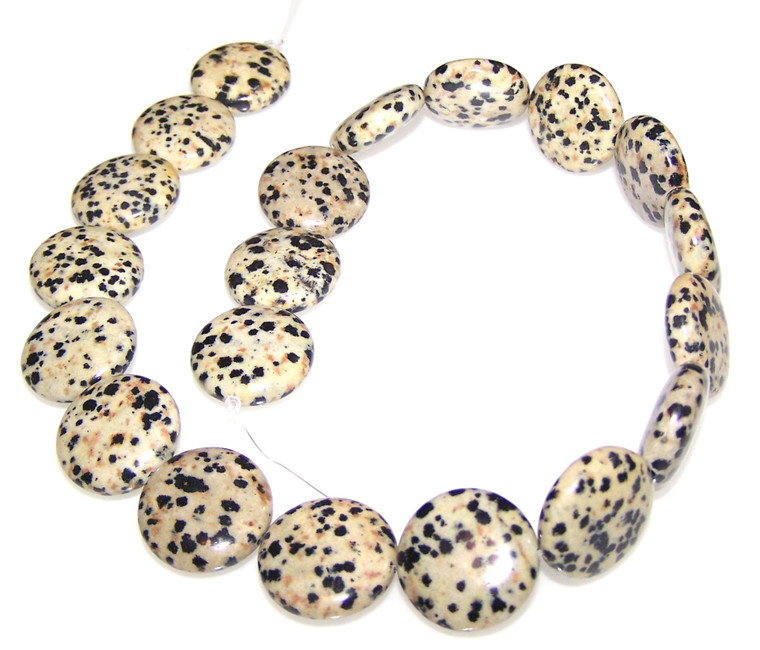 20mm Puff Coin Semiprecious Gemstone Beads - Dalmatian Jasper