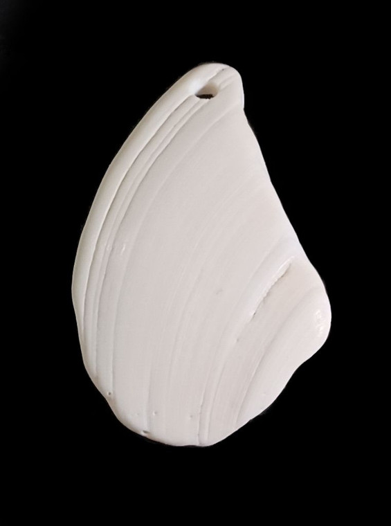 Florida Natural Large Shell Pendant Style Q