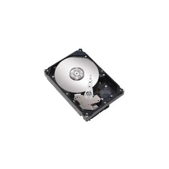 STM3250310AS Seagate