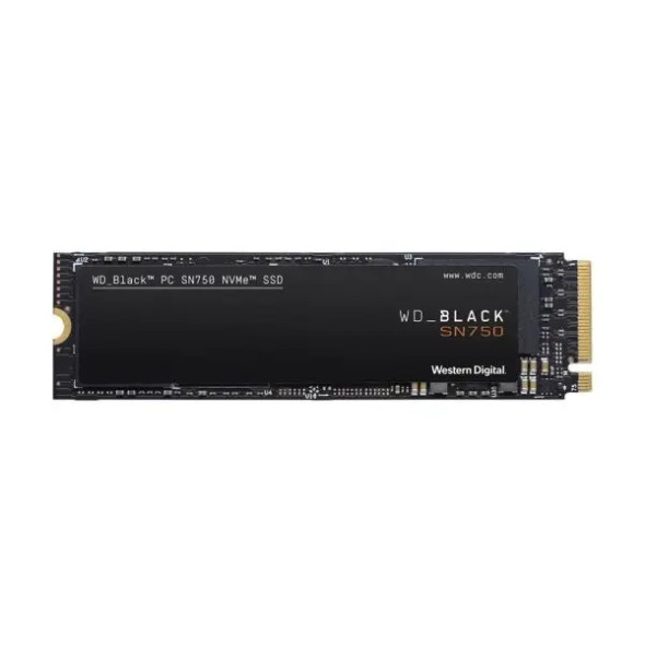 WDS100T3XHC Western Digital