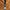 Middlebury M Zipper Pull