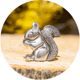 Teacher Appreciation