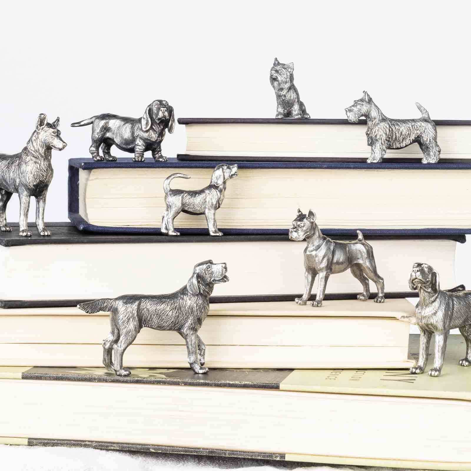 Start the New Year with Paws-itivity!