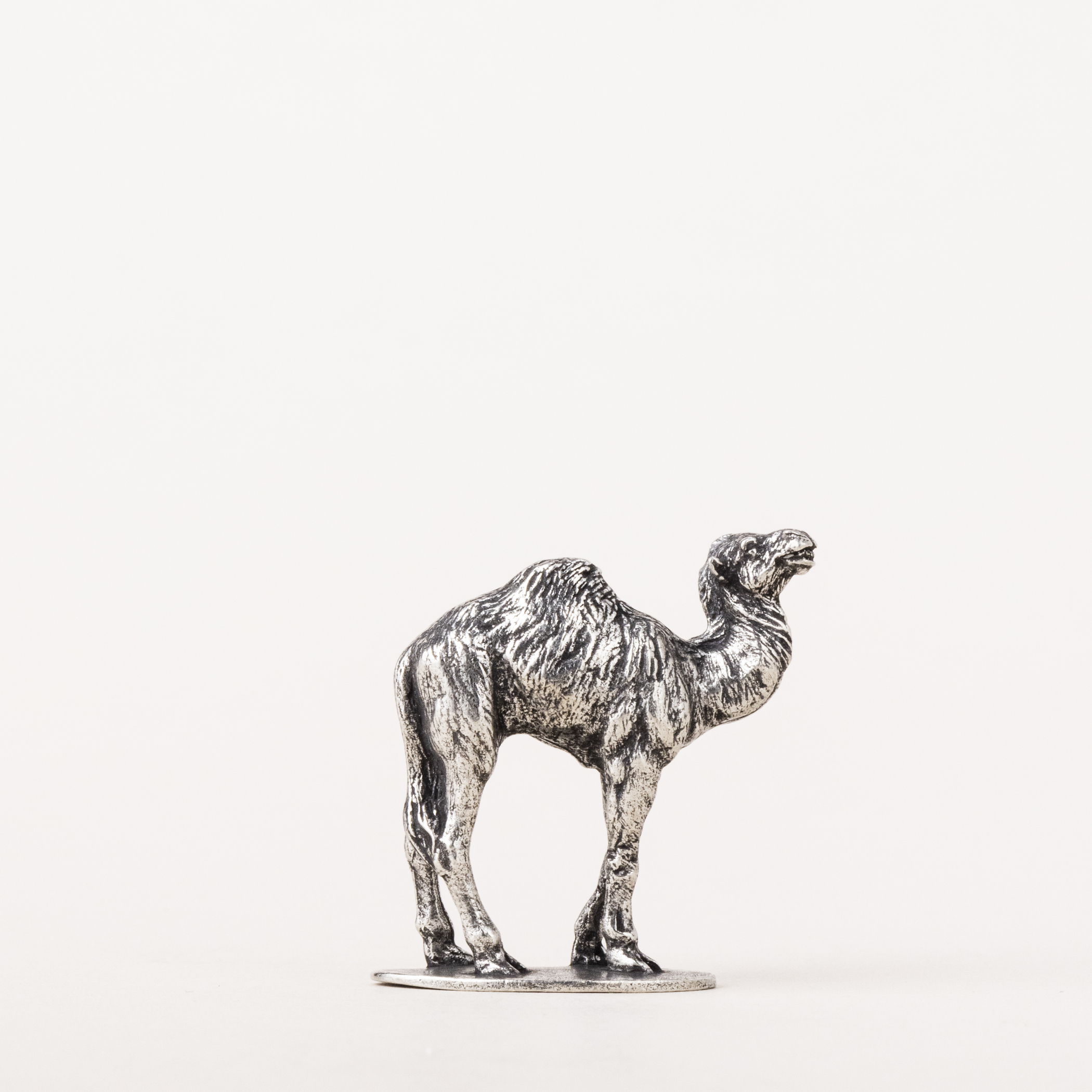 720506005A_NA_CAMEL-2_FT-
