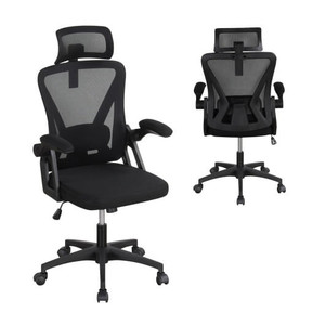 Ergonomic Mesh Office Chair with Adjustable Lumbar Support and Flip-up Armrests-Black B593-CB10919