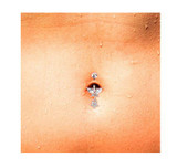 Gold Plated CZ Butterfly w/ CZ Flower Body Jewelry