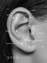 The Piercing Lingo : Vocabulary  a Professional piercer's use and what it means ?