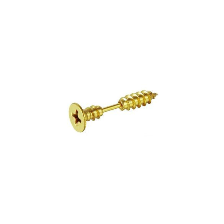 Surgical Steel Screw Stud earring Yellow Gold