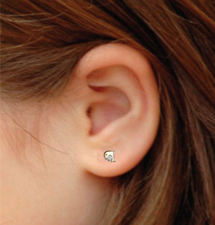Dolphin Ear Stud Yellow Gold with CZ