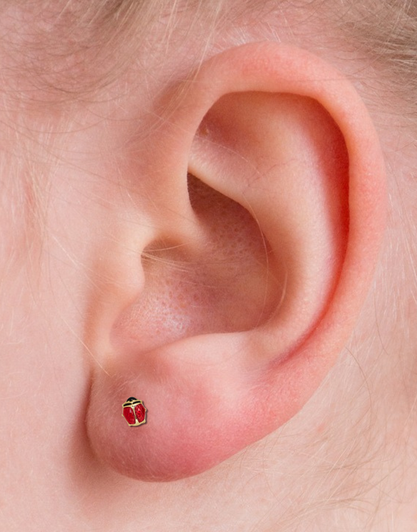 14k Enamel Lady Bug Yellow Gold on ear