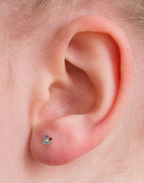 5mm Rainbow Flower Ear Stud Yellow Gold on ear