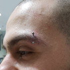 Solid Gold Curved Barbell w/ Ball ends