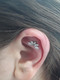5 CZ Titanium Lotus on ear