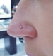 2.5mm CZ L Nose Pin pierced on the nose