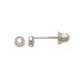 Beaded Edge - Medium Size ear studs in 18K Gold with threaded bell back