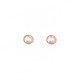 Rose Gold 4mm Bezel Ear Studs