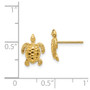 14k Sea Turtle Post Earrings