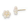 14k 2-3mm White Button Freshwater Cultured Pearl Flower Earrings