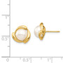 14K 7-8mm Yellow Button Freshwater Cultured Pearl Post Earrings