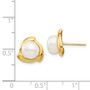 14K 7-8mm White Button Freshwater Cultured Pearl Post Earrings