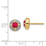 14k Diamond & Ruby Fancy Earrings