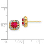 14k Diamond & Ruby Fancy Earrings