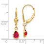 14k 6x4mm Ruby/July Leverback Earrings