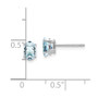 14k White Gold Aquamarine Earrings