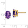 14k 9x7mm Oval Amethyst Earrings