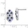 14k White Gold Diamond & Sapphire Fancy Earrings