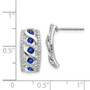 14k White Gold Diamond & Sapphire Fancy Earrings