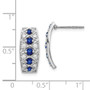 14k White Gold Diamond & Sapphire Fancy Earrings