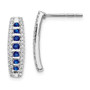 14k White Gold Diamond & Sapphire Fancy Earrings