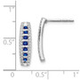 14k White Gold Diamond & Sapphire Fancy Earrings