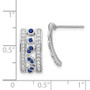 14k White Gold Diamond & Sapphire Fancy Earrings