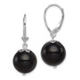 Sterling Silver Rhodium-plated Onyx Leverback Earrings