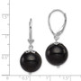 Sterling Silver Rhodium-plated Onyx Leverback Earrings