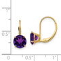 14k 7mm Amethyst Leverback Earrings