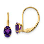 14k 6x4mm Oval Amethyst Leverback Earrings