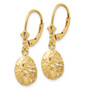 14K Polished Sand Dollar Leverback Earrings