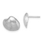 14K White Gold Clam Shell Post Earrings