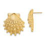 14K Lion's Paw Shell Post Earrings