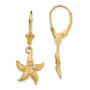 14K 2-D Textured & Polished Starfish Leverback Earrings