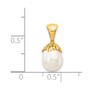 14K 7-8mm White Rice Freshwater Cultured Pearl Pendant