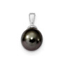 14k WG 10-11mm Black Round Saltwater Cultured Tahitian Pearl Pendant