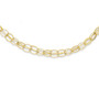 14K Double Strand Oval Links w/ 2in Ext Necklace